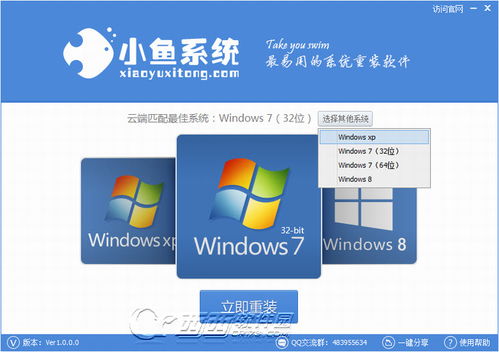 小魚一鍵重裝系統軟件 便捷背后的網絡與信息安全考量